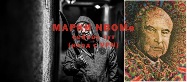 Альфа ПВП Белокуриха